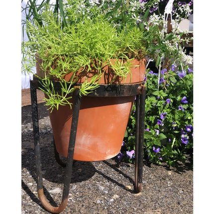 Collection image for: Metal Planters Specials