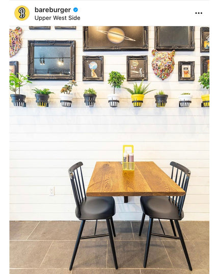 Hudson Wall Planter Ring black metal plant holders mounted on white wall displaying various green plants in restaurant din...