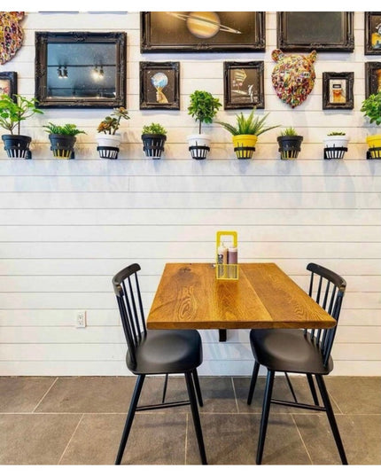 Hudson Wall Planter Ring black metal plant holders mounted on white shiplap wall with various green plants and framed artw...