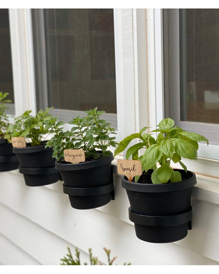 Black Hudson Wall Planter Rings by Industrial Farm Co holding herb plants with wooden labels on white windowsill