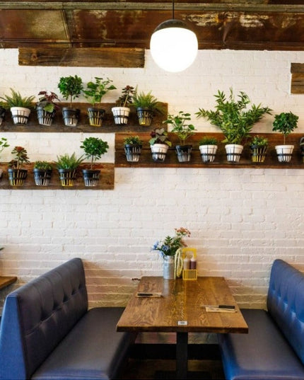 The Hudson Wall Planter Ring by Industrial Farm Co displaying potted plants on wooden floating shelves in modern restauran...