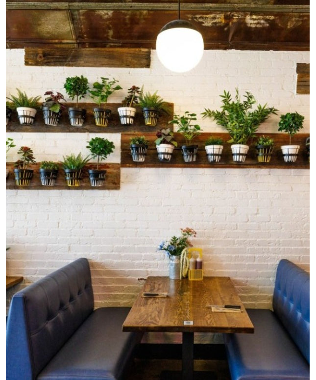 The Hudson Wall Planter Ring