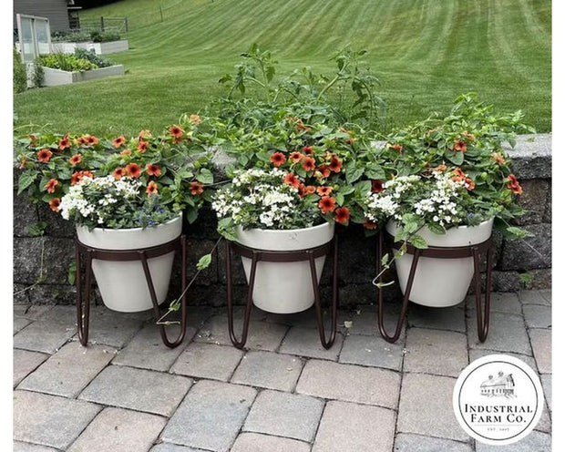 Three white Dorio Raised Planters by Industrial Farm Co with dark metal stands on brick patio, filled with colorful flower...
