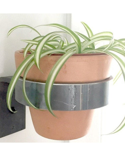 The Hudson Wall Planter Ring by Industrial Farm Co holding terracotta pot with spider plant, black metal wall-mounted holder
