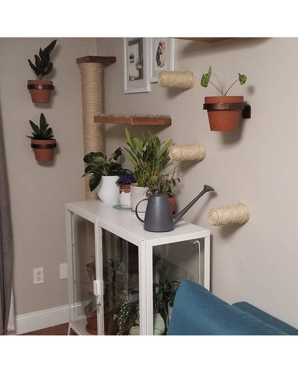 Brown leather Hudson Wall Planter Rings by Industrial Farm Co holding terracotta pots with plants on white wall, displayed...