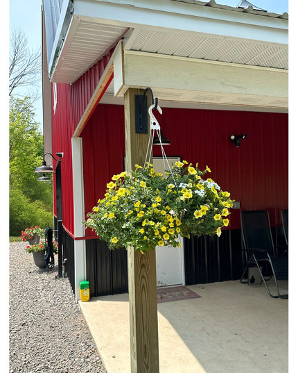 Black metal Gregory Shepherd Hook by Industrial Farm Co mounted on wooden post holding yellow flowering hanging basket nea...