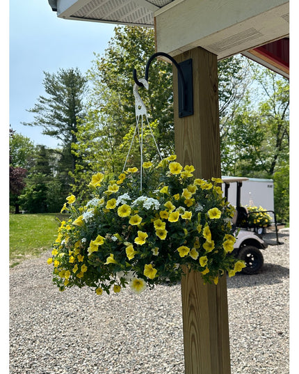 Black metal Gregory Shepherd Hook by Industrial Farm Co holding vibrant yellow petunia hanging basket on wooden post under...