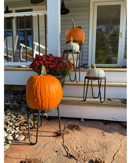 Black metal Dorio Raised Planters by Industrial Farm Co displaying orange and white pumpkins on front porch steps with fal...