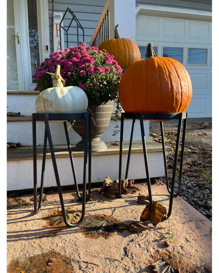 Black metal Dorio Raised Planter by Industrial Farm Co displaying fall pumpkins and purple mums on front porch steps