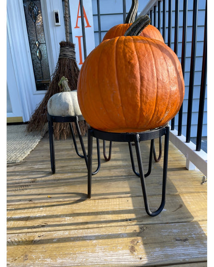 Large orange pumpkin displayed on black metal Dorio Raised Planter by Industrial Farm Co on wooden deck with fall decorations