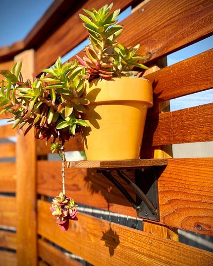 The Sawmiller Shelf Bracket