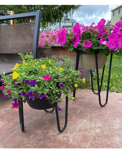 Two black metal Dorio Raised Planters by Industrial Farm Co on patio, filled with colorful petunias in purple, pink, and y...