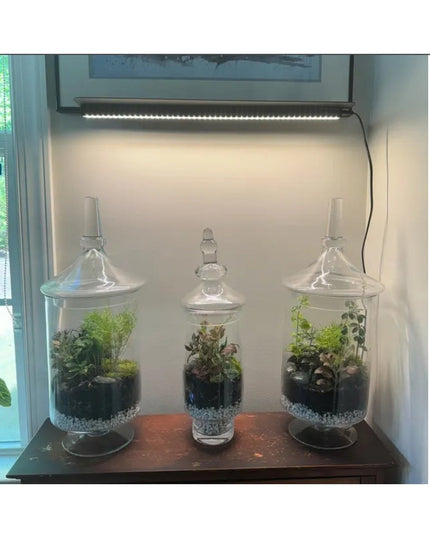 Houston Metal Wall Shelf by Industrial Farm Co displaying three glass terrariums with plants under LED grow light in moder...