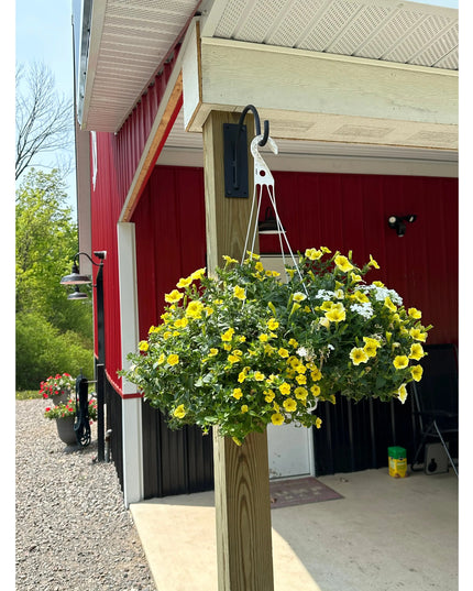 The Gregory Shepherd Hook Hook Clear Coat Backplate Wall Mount Length 3" x 9" | Industrial Farm Co