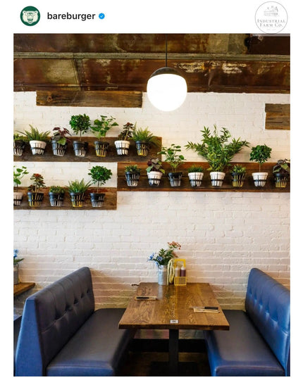 The Hudson Wall Mounted Potholder Plant Holder 4" Pot Finish Black Powder Coat | Industrial Farm Co