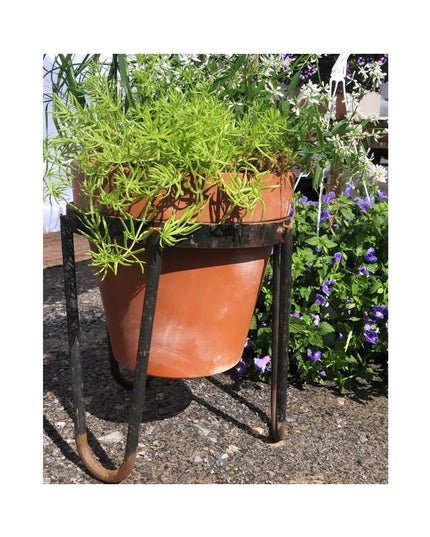 Terracotta Dorio Raised Planter by Industrial Farm Co with black metal stand holding green plants in outdoor garden setting