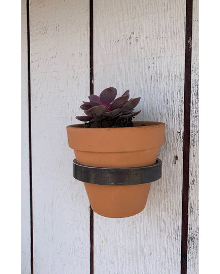 Industrial Farm Co Hudson Wall Planter Ring in black metal holding terracotta pot with purple succulent on white wooden fence