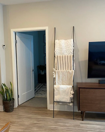 The Lynn Metal Ladder