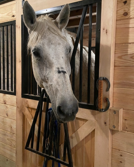 The Chincoteague Pony Shoe Door Handle