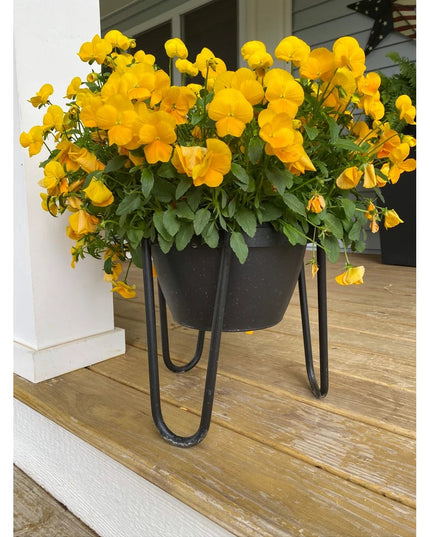 The Dorio Raised Planter by Industrial Farm Co with black metal hairpin legs holding potted yellow pansies on wooden deck