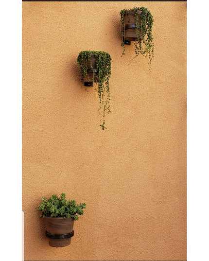 Three brown wooden planters mounted on orange textured wall with trailing green plants - The Hudson Wall Planter Ring by I...