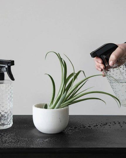 Embossed Glass Spray Bottle  Dots   | Industrial Farm Co