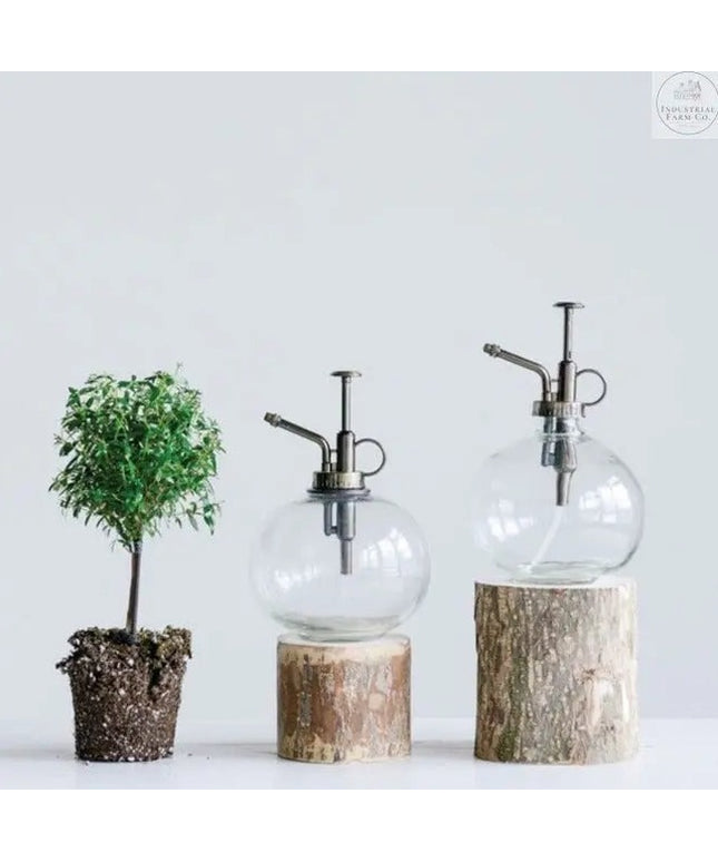 Shelf Decor Glass Plant Mister Plant Mister Silver Top   | Industrial Farm Co
