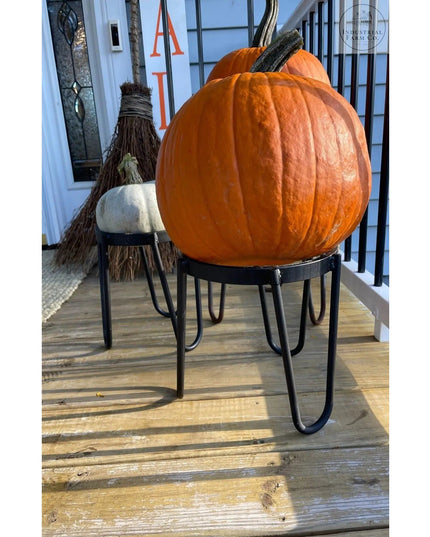 The Dorio Raised Planter Planter 6" Depth 8" Tall | Industrial Farm Co