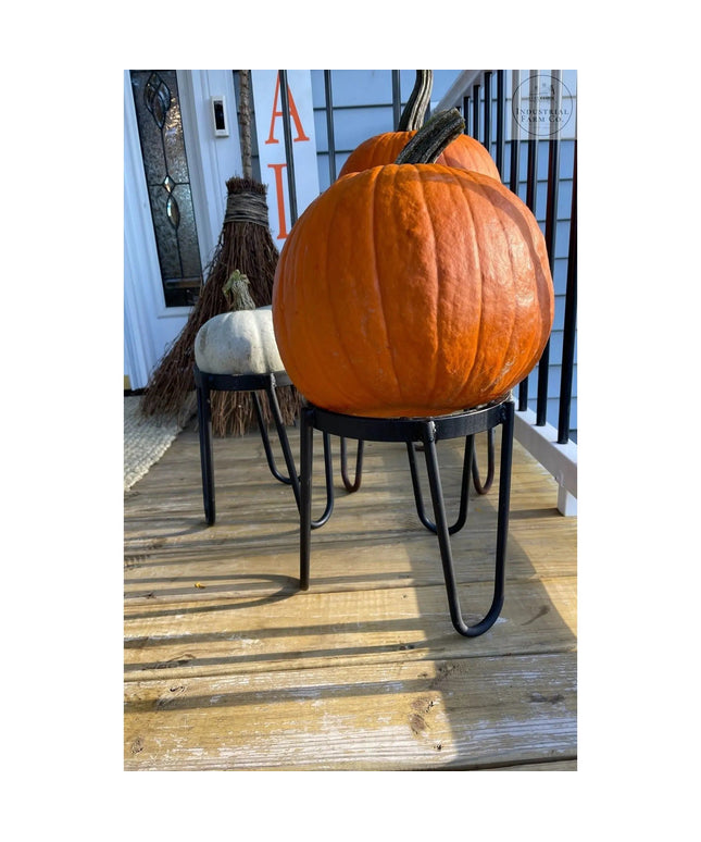 The Dorio Raised Planter Planter 6" Depth 8" Tall | Industrial Farm Co