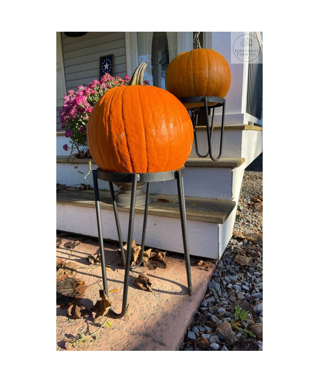 The Dorio Raised Planter Planter 6" Depth 8" Tall | Industrial Farm Co