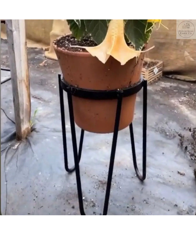 The Dorio Raised Planter Planter 6" Depth 12" Tall | Industrial Farm Co