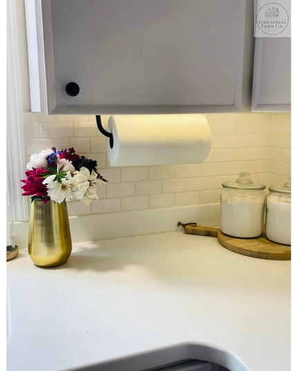 The Hyde Hall Paper Towel Holder Paper Towel Holder Open on the Left Finish Silver Powder Coat | Industrial Farm Co