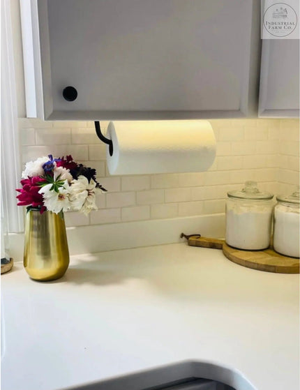 The Hyde Hall Paper Towel Holder Paper Towel Holder Open on the Left Finish Silver Powder Coat | Industrial Farm Co