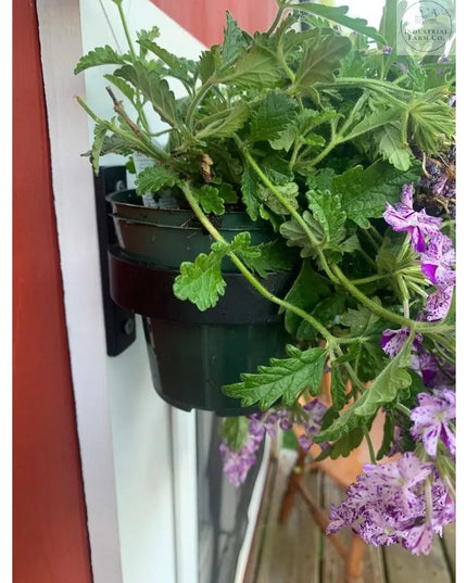 The Smoral Handmade Pot Holder Plant Holder 4" Pot Finish Black Powder Coat | Industrial Farm Co